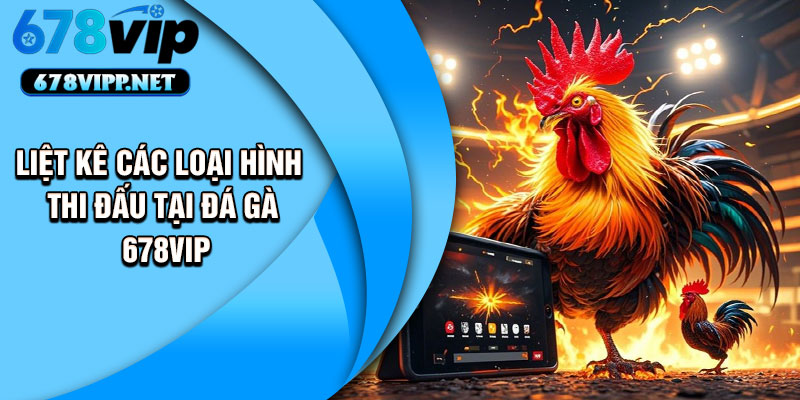 Liệt kê các loại hình thi đấu tại đá gà 678VIP